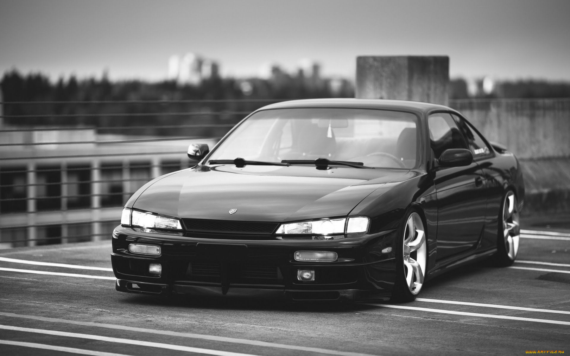 nissan silvia, , nissan, datsun, silvia, , , , , , , , , , 